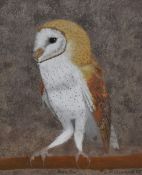 Chris Chadwick (20th Century), pastel, Two studies of birds - Owl and Kingfisher, signed and