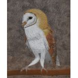 Chris Chadwick (20th Century), pastel, Two studies of birds - Owl and Kingfisher, signed and