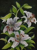 M.Critchley (20th Century), oil on board, A still life arrangement depicting lillies, signed to