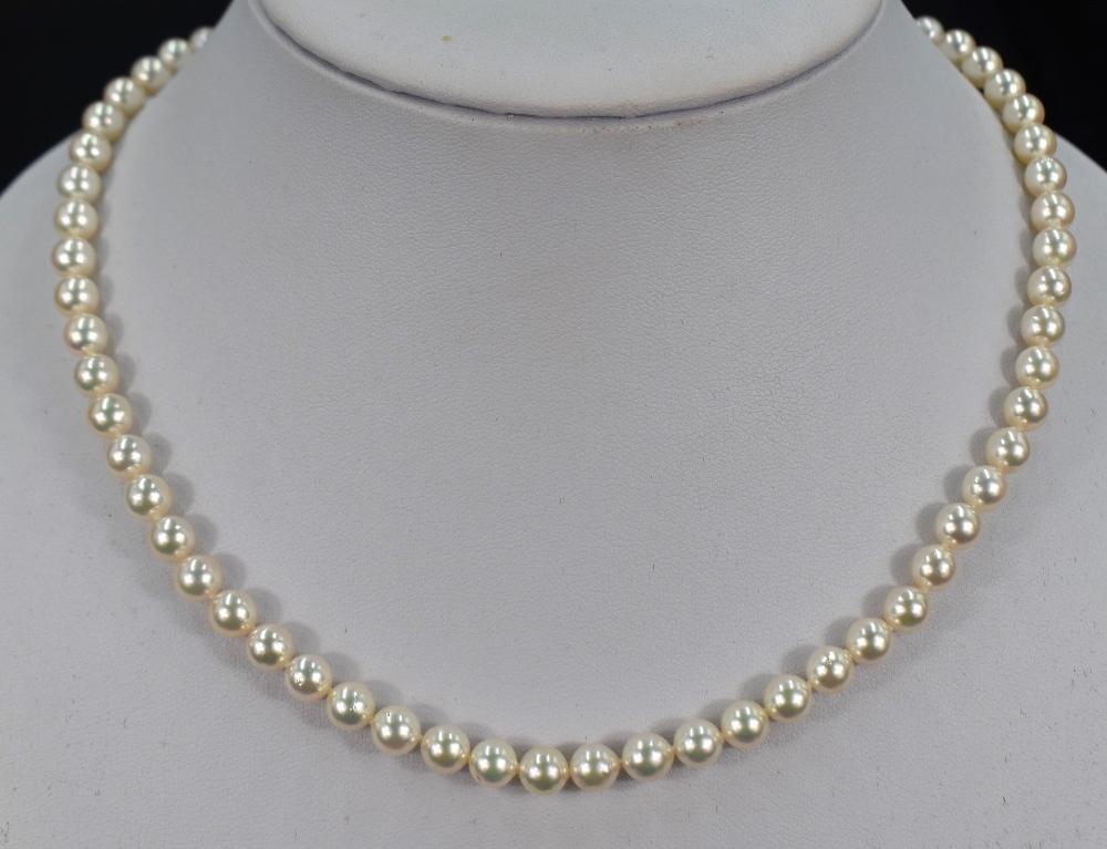 A single row of knotted cultured pearls of a light champagne lustre, with a nine carat gold clasp, - Image 2 of 3