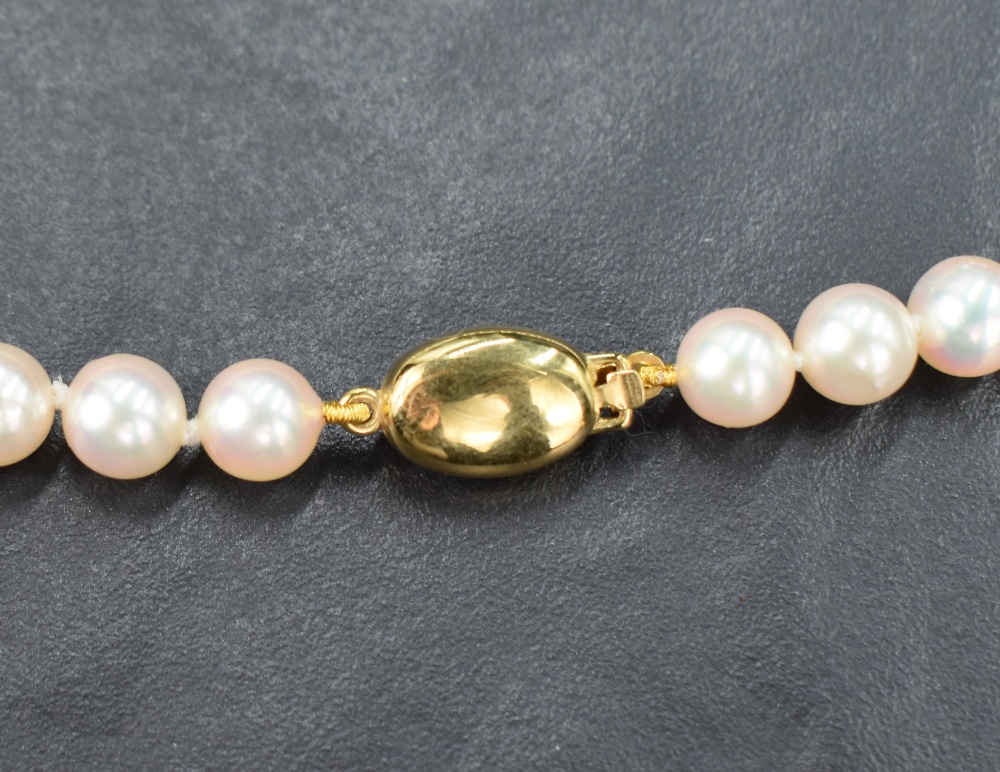 A single row of knotted cultured pearls of a light champagne lustre, with a nine carat gold clasp, - Image 3 of 3