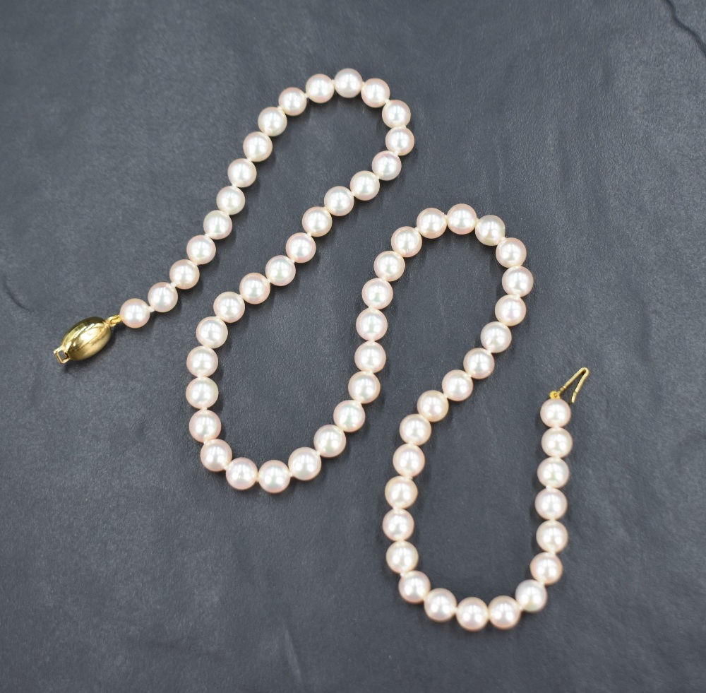 A single row of knotted cultured pearls of a light champagne lustre, with a nine carat gold clasp,