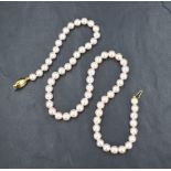 A single row of knotted cultured pearls of a light champagne lustre, with a nine carat gold clasp,