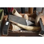 A box of mixed cattle and sheep horns