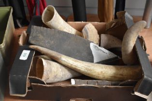 A box of mixed cattle and sheep horns