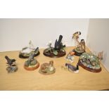 A group of mixed ornithological and animal studies, Border Fine Arts, Aynsley and Royal Doulton,