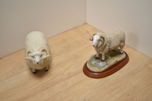 A Border Fine Arts animal study Welsh Mountain Ram, A1886 from the Sheep Breeds series, boxed and