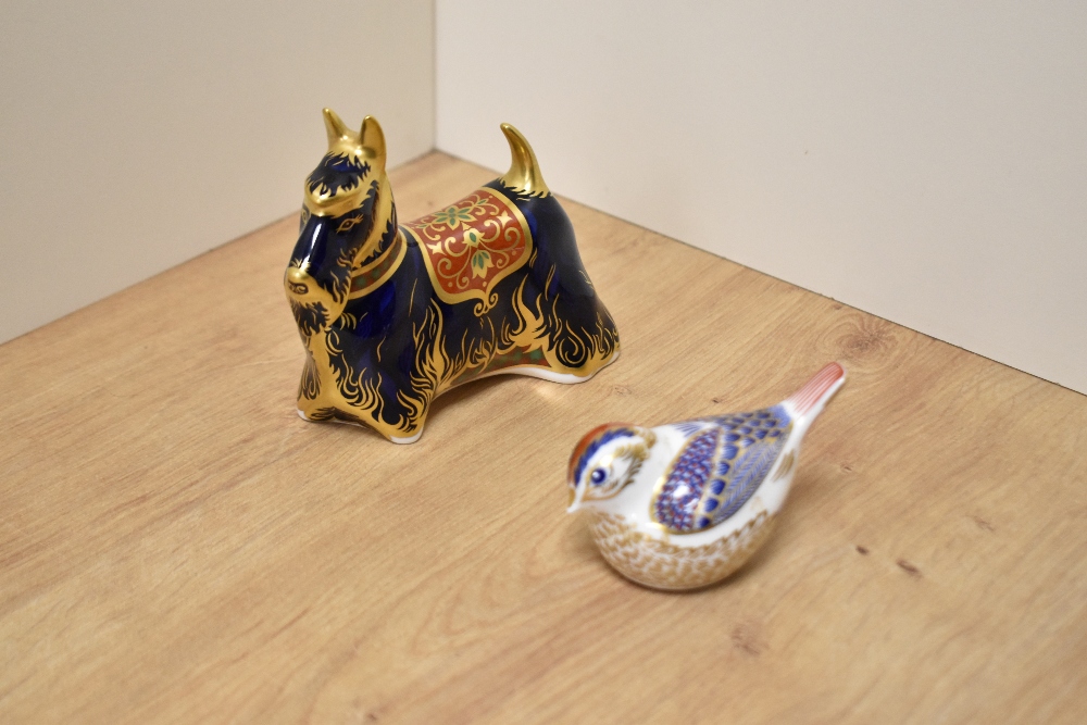 A Royal Crown Derby porcelain Scottish Terrier paperweight, decorated in the Imari palette MMV