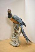 A large and impressive I.P.A Capo Di Monte limited edition porcelain Big Macaw study, modelled