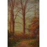 Robert Rampling (1835-1909, British), oil painting, An autumnal woodland landscape, framed,