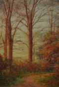 Robert Rampling (1835-1909, British), oil painting, An autumnal woodland landscape, framed,