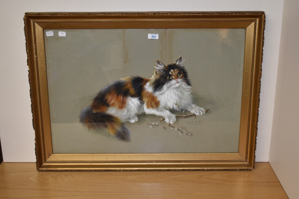 Edith A. Penn (20th Century, British), watercolour and gouache, A calico cat portrait, framed and - Image 2 of 4