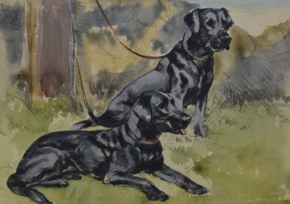 George Vernon Stokes (1873-1954, British), watercolour, A canine study - 'Labradors', signed to