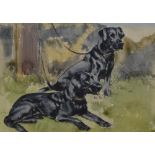 George Vernon Stokes (1873-1954, British), watercolour, A canine study - 'Labradors', signed to