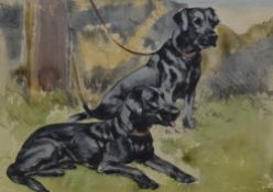 George Vernon Stokes (1873-1954, British), watercolour, A canine study - 'Labradors', signed to