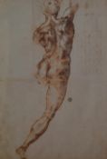 After Michelangelo Buonarroti (1475-1564, Italian Renaissance), sepia print, 'Nude Study for the