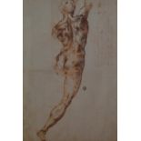 After Michelangelo Buonarroti (1475-1564, Italian Renaissance), sepia print, 'Nude Study for the