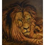 J.Harper (20th Century, British), in the style of Rosa Bonheur (1822-1899), oil on canvas, Lion