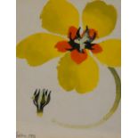 Mary Fedden (1915-2012, British), watercolour and gouache on paper, Yellow Flower, signed to the
