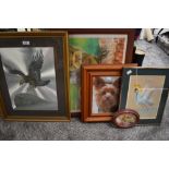 A selection of pictures and prints with an animal theme including a metallic foil art Eagle study