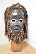 An African tribal Dan mask with cowrie shell embellishments, measuring 48cm tall