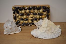 Two natural conch sea shells and a vintage wooden box encrusted with shells.