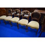A set of five Victorian mahogany framed salon chairs havung balloon and rail backs, later dralon