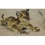 After Ralph Thompson (1913-2009, British), coloured lithograph, Tiger cub, framed and under glass,