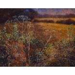 Ben Holgate (Contemporary, British), pastel, 'Ashton Fields, Lancaster', signed to the lower left,