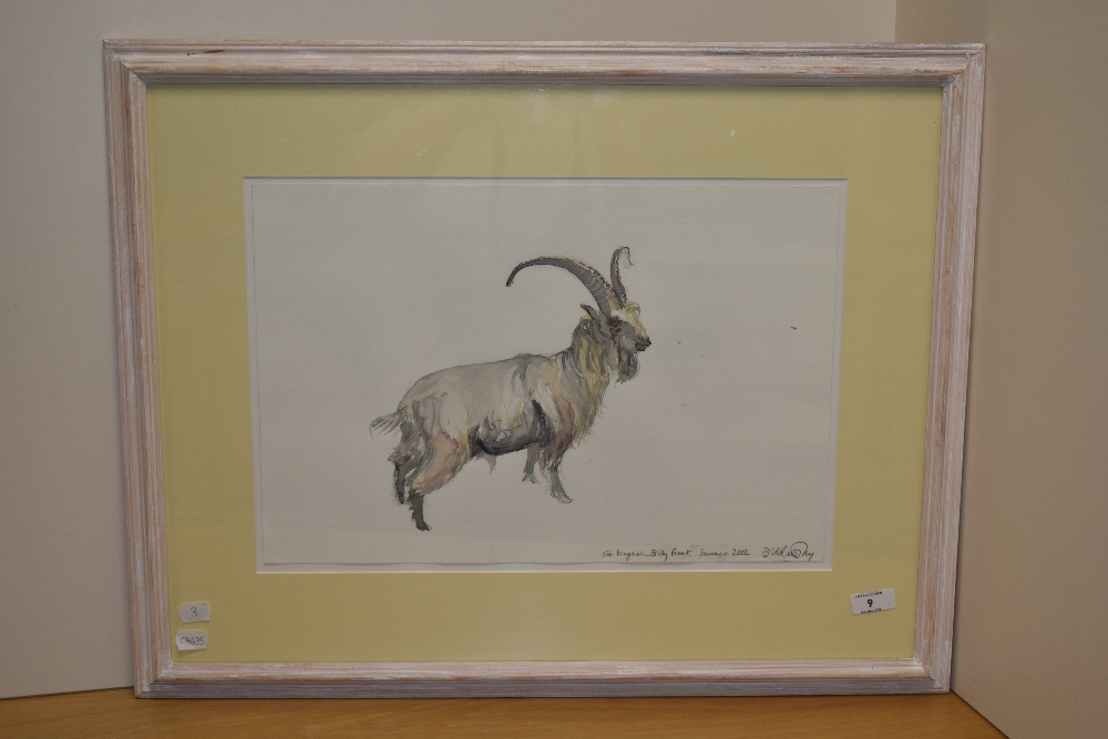 Dido Crosby (b.1961, British), watercolour, 'Old English Billy Goat', signed and dated 2002 to the - Image 2 of 4