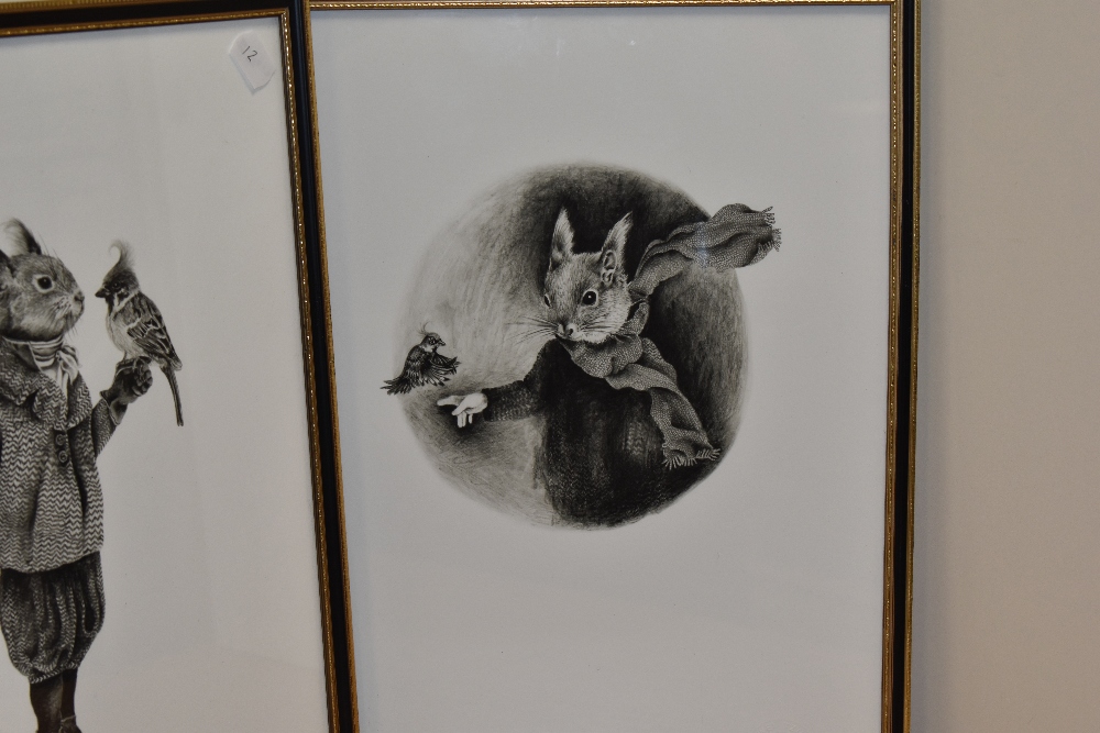 20th Century School, oil on board, A grey squirrel resting on a branch, framed, measuring 23cm x - Bild 3 aus 5