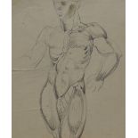 20th Century School, mixed media on paper, An assorted collection of preparatory anatomical