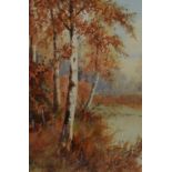 Joseph Halford Ross (1866-1909, British), watercolour, An autumnal woodland landscape depicting