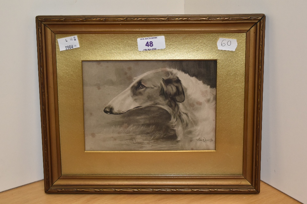 19th/20th Century School, monochrome print, A head study of a greyhound, after an original - Image 2 of 4