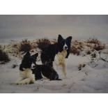 After Steven Townsend (b.1955, British), coloured print, 'Snow Search', Two border collies in