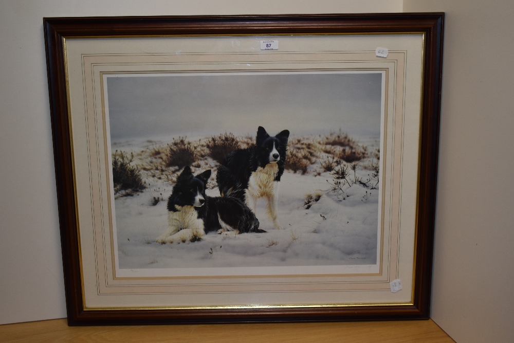 After Steven Townsend (b.1955, British), coloured print, 'Snow Search', Two border collies in - Image 2 of 4
