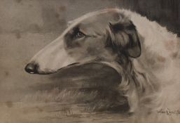 19th/20th Century School, monochrome print, A head study of a greyhound, after an original