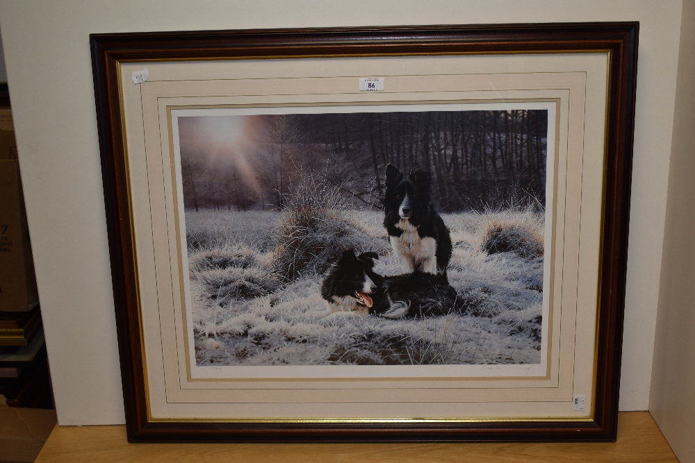 After Steven Townsend (b.1955, British), coloured print, 'Early Light', Two border collie dogs, - Bild 2 aus 5