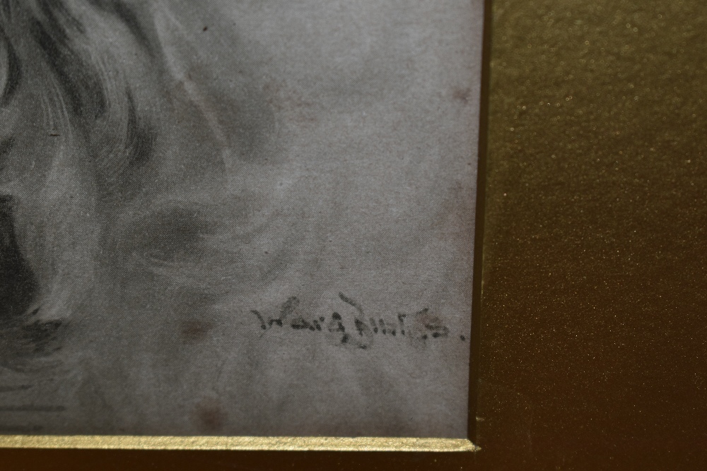 19th/20th Century School, monochrome print, A head study of a greyhound, after an original - Bild 3 aus 4