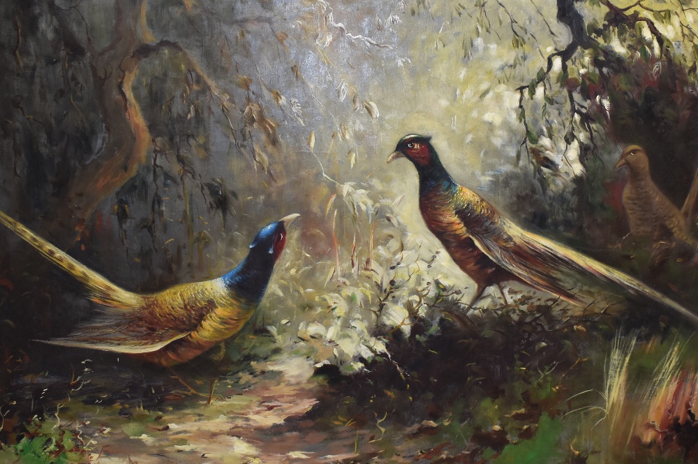 19th Continental School, oil on canvas, Three inquisitive pheasants within a naturalistic setting,