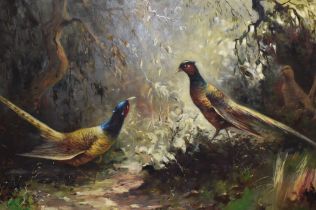 19th Continental School, oil on canvas, Three inquisitive pheasants within a naturalistic setting,