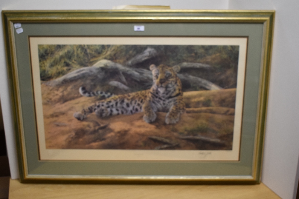 After Anthony Gibbs (b.1951, British), coloured lithograph, 'Dawn's First Scent', a resting leopard, - Bild 2 aus 4