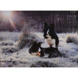 After Steven Townsend (b.1955, British), coloured print, 'Early Light', Two border collie dogs,
