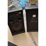 A pair of Digital Audio DP234 speakers (one powered one slave)