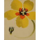 Mary Fedden (1915-2012, British), watercolour and gouache on paper, Yellow Flower, signed to the