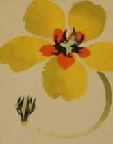 Mary Fedden (1915-2012, British), watercolour and gouache on paper, Yellow Flower, signed to the