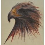 After Jonathan Poole (20th Century), artist's proof, A head study of an eagle, unframed, mounted