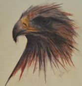 After Jonathan Poole (20th Century), artist's proof, A head study of an eagle, unframed, mounted