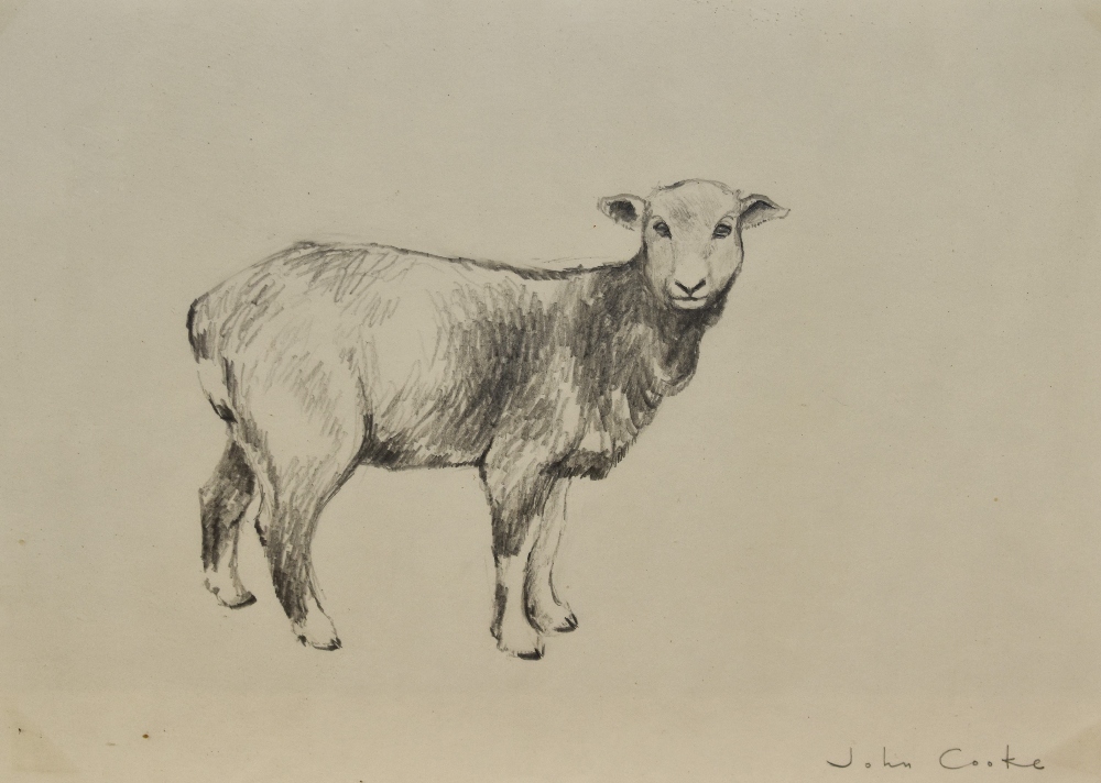 John Cooke (1929-2018, British), pencil on paper, A sketch of a sheep, signed to the lower right,