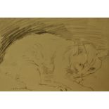 John Cooke (1929-2018, British), pencil on paper, A study of a cat, signed to the lower left,